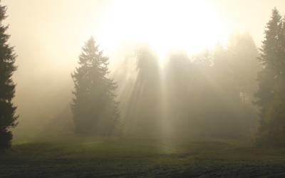 Thank you for the responses…